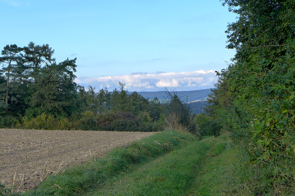 Klicke auf die Grafik für eine vergrößerte Ansicht  Name: Weserberglandweg_482.jpg Ansichten: 0 Größe: 307,5 KB ID: 3285325