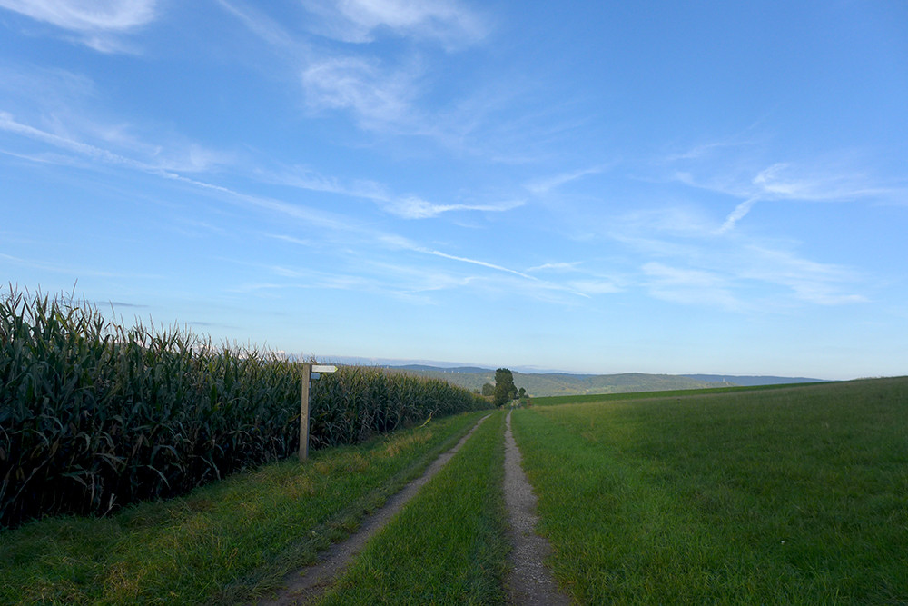 Klicke auf die Grafik für eine vergrößerte Ansicht  Name: Weserberglandweg_490.jpg Ansichten: 0 Größe: 171,0 KB ID: 3285329