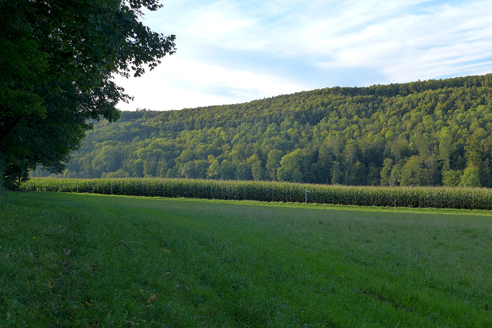 Klicke auf die Grafik für eine vergrößerte Ansicht  Name: Weserberglandweg_489.jpg Ansichten: 0 Größe: 292,2 KB ID: 3285331