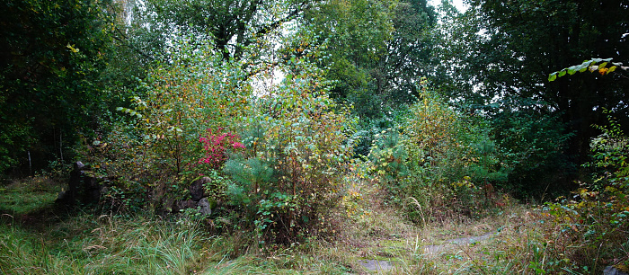 Klicke auf die Grafik für eine vergrößerte Ansicht

Name: DSC01747cut.jpg
Ansichten: 361
Größe: 1,46 MB
ID: 3285569