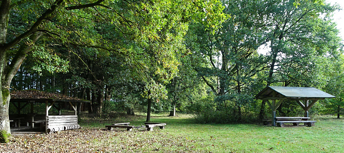 Klicke auf die Grafik für eine vergrößerte Ansicht

Name: DSC01752cut.jpg
Ansichten: 347
Größe: 1,69 MB
ID: 3285573
