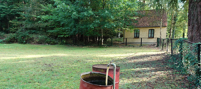 Klicke auf die Grafik für eine vergrößerte Ansicht  Name: DSC01753cut.jpg Ansichten: 0 Größe: 1,27 MB ID: 3285585