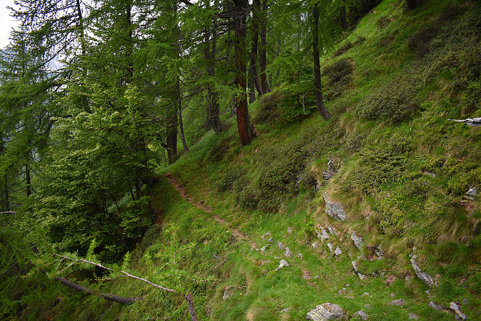 Klicke auf die Grafik für eine vergrößerte Ansicht  Name: DSC_0809.jpg Ansichten: 0 Größe: 1,45 MB ID: 3286143