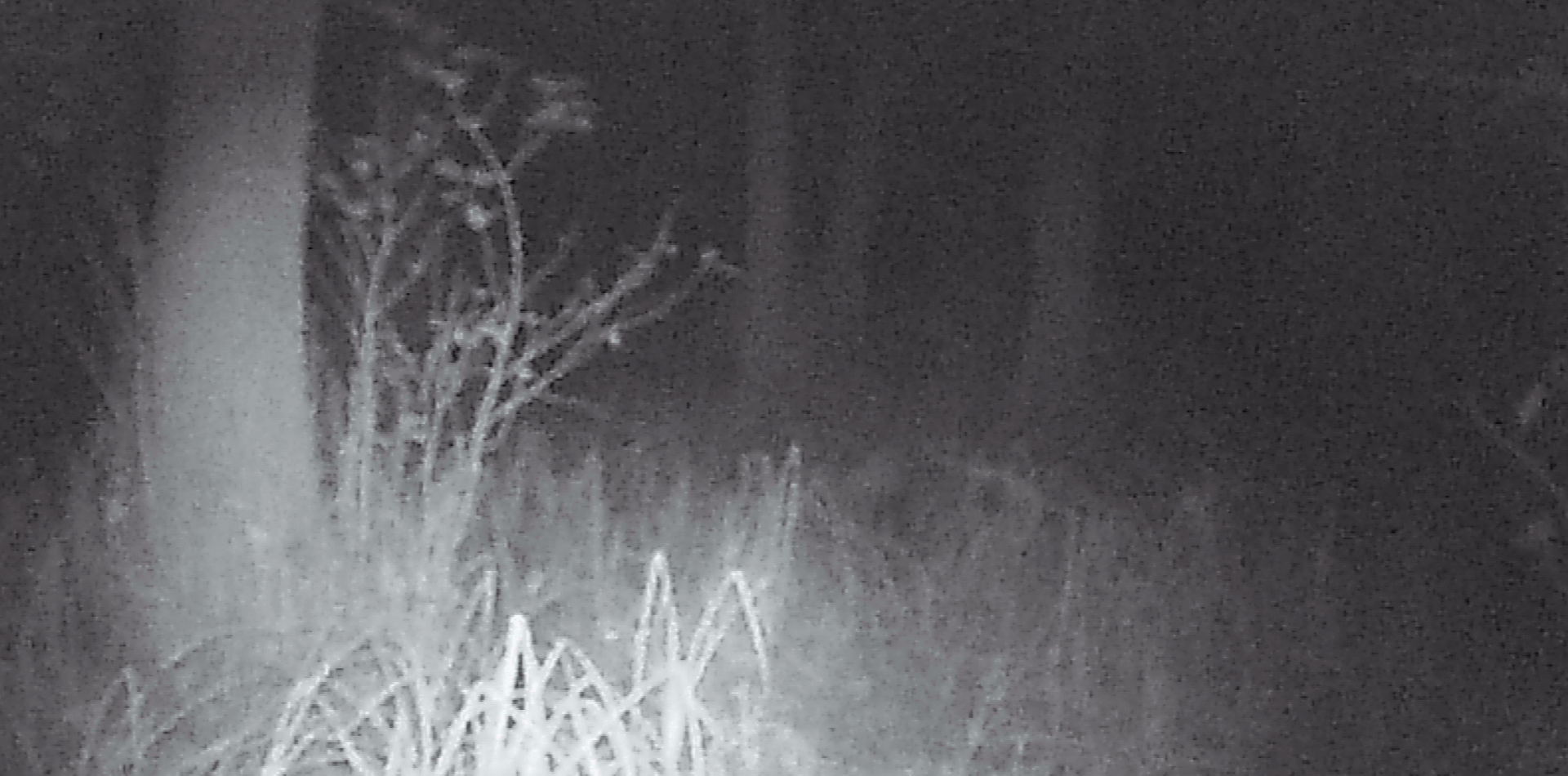 Klicke auf die Grafik für eine vergrößerte Ansicht

Name: FuchsGIF.gif
Ansichten: 317
Größe: 5,43 MB
ID: 3286320