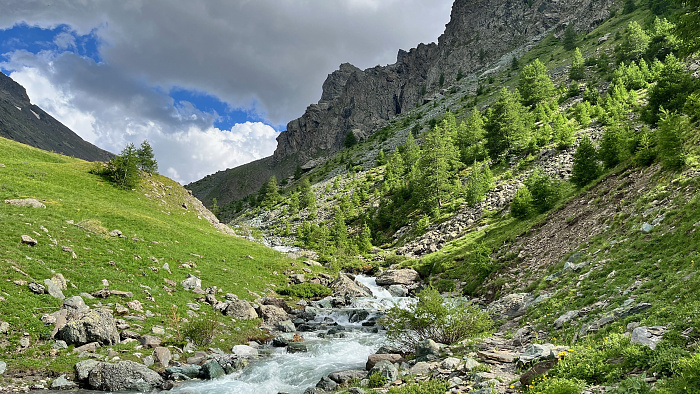 Klicke auf die Grafik für eine vergrößerte Ansicht  Name: 2024-07 Westalpen - 1732 von 2670.jpg Ansichten: 0 Größe: 4,49 MB ID: 3286533