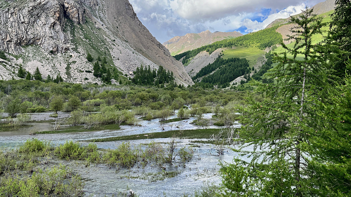 Klicke auf die Grafik für eine vergrößerte Ansicht  Name: 2024-07 Westalpen - 1743 von 2670.jpg Ansichten: 0 Größe: 4,91 MB ID: 3286535