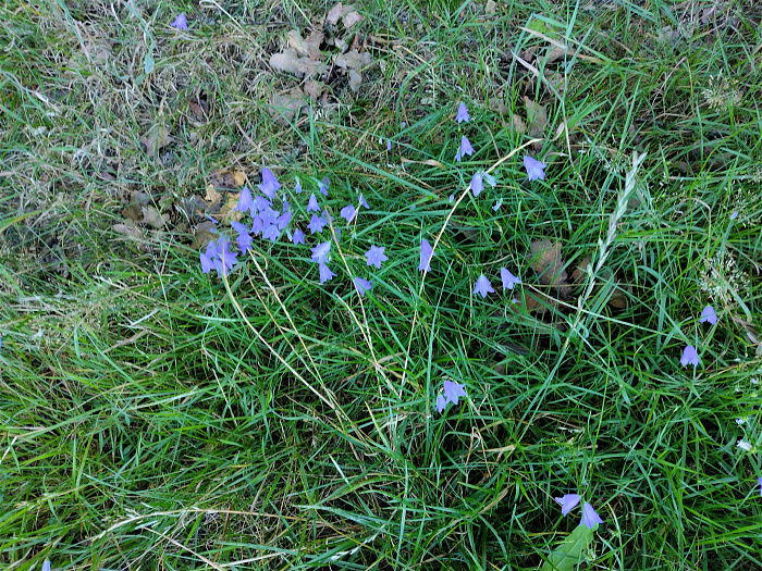 Klicke auf die Grafik für eine vergrößerte Ansicht

Name: IMG_20240811_100307417.jpg
Ansichten: 108
Größe: 7,96 MB
ID: 3286825