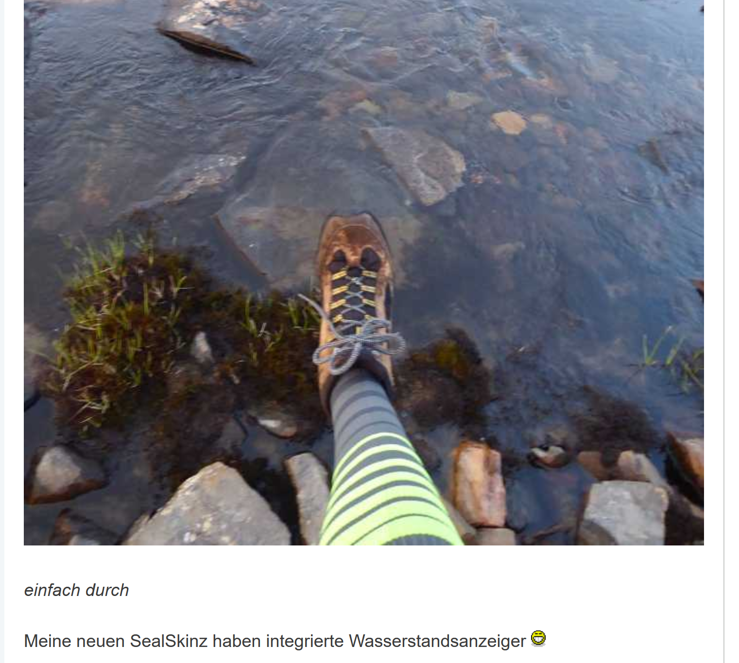 Klicke auf die Grafik für eine vergrößerte Ansicht  Name: SealSkinzmitWA.png Ansichten: 0 Größe: 1,43 MB ID: 3287253
