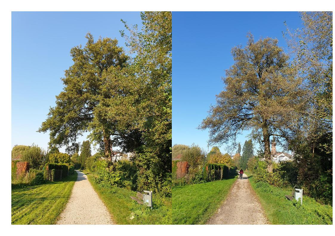 Klicke auf die Grafik für eine vergrößerte Ansicht

Name: Sept_Okt_2.jpg
Ansichten: 113
Größe: 441,6 KB
ID: 3288987
