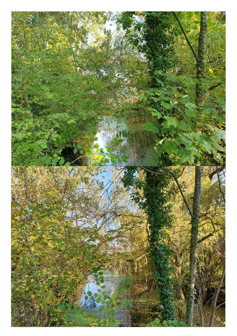 Klicke auf die Grafik für eine vergrößerte Ansicht

Name: Sept_Okt_9.jpg
Ansichten: 110
Größe: 526,6 KB
ID: 3289000