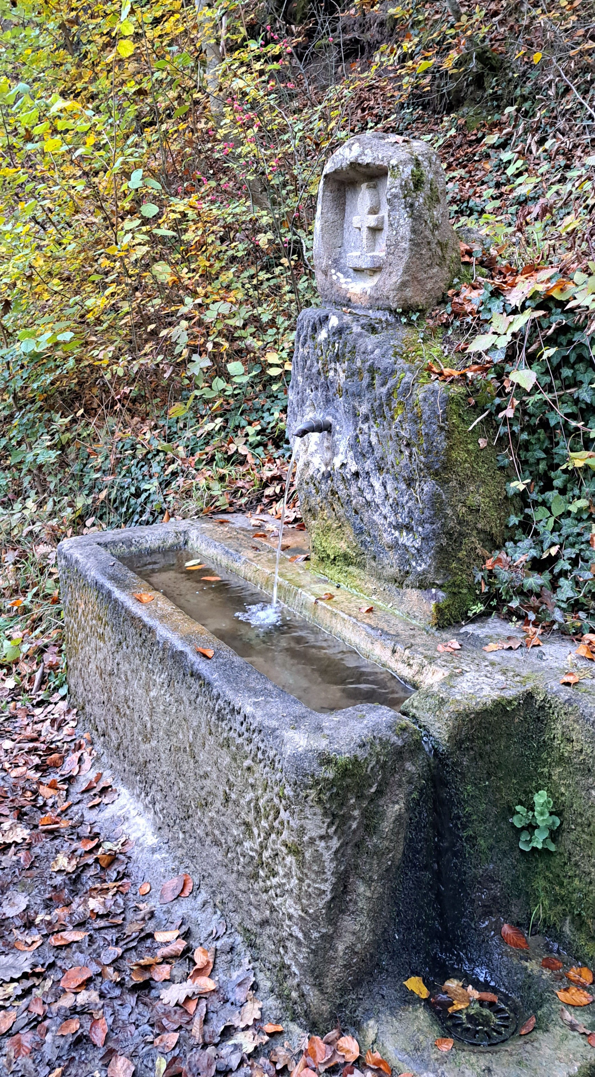 Klicke auf die Grafik für eine vergrößerte Ansicht

Name: 20241031_163509.jpg
Ansichten: 68
Größe: 3,65 MB
ID: 3290239