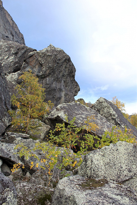 Klicke auf die Grafik für eine vergrößerte Ansicht  Name: Ljungdalen_20200908_323.jpg Ansichten: 0 Größe: 989,6 KB ID: 3290589