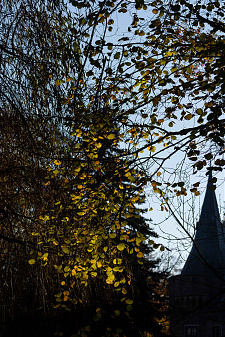 Klicke auf die Grafik für eine vergrößerte Ansicht

Name: _DSC0950.jpg
Ansichten: 467
Größe: 2,38 MB
ID: 3290628