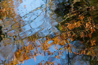Klicke auf die Grafik für eine vergrößerte Ansicht

Name: _DSC0920.jpg
Ansichten: 470
Größe: 1,66 MB
ID: 3290630