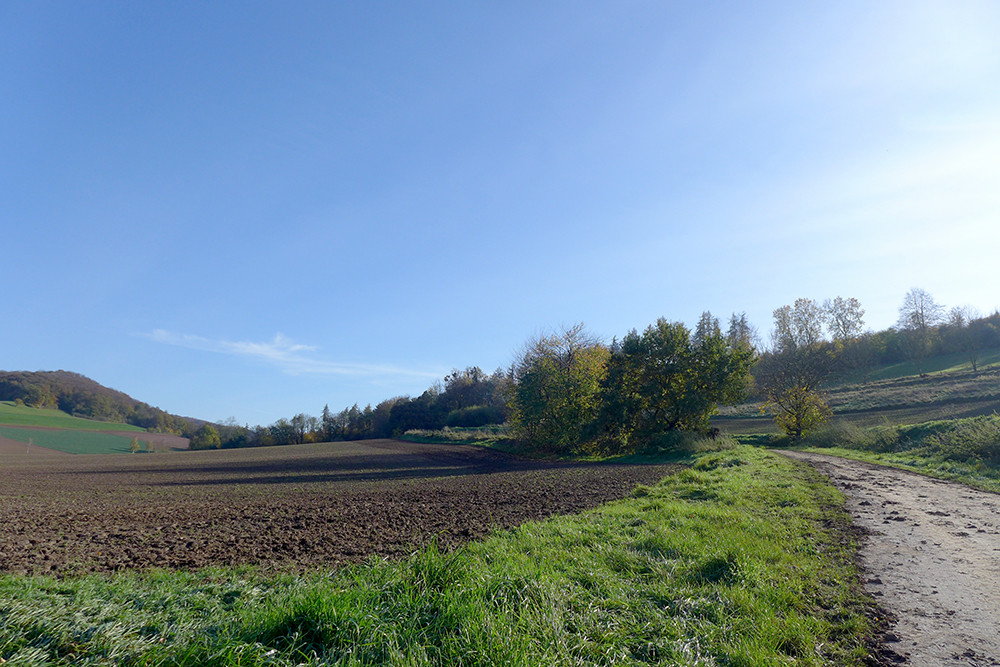 Klicke auf die Grafik für eine vergrößerte Ansicht  Name: Weserberglandweg_495.jpg Ansichten: 0 Größe: 241,5 KB ID: 3290715