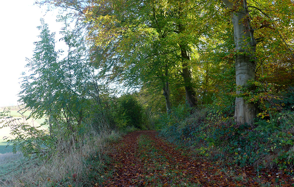 Klicke auf die Grafik für eine vergrößerte Ansicht  Name: Weserberglandweg_504.jpg Ansichten: 0 Größe: 477,4 KB ID: 3290725