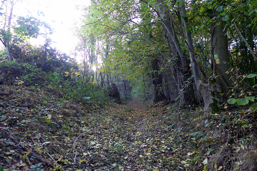 Klicke auf die Grafik für eine vergrößerte Ansicht  Name: Weserberglandweg_505.jpg Ansichten: 0 Größe: 464,9 KB ID: 3290726