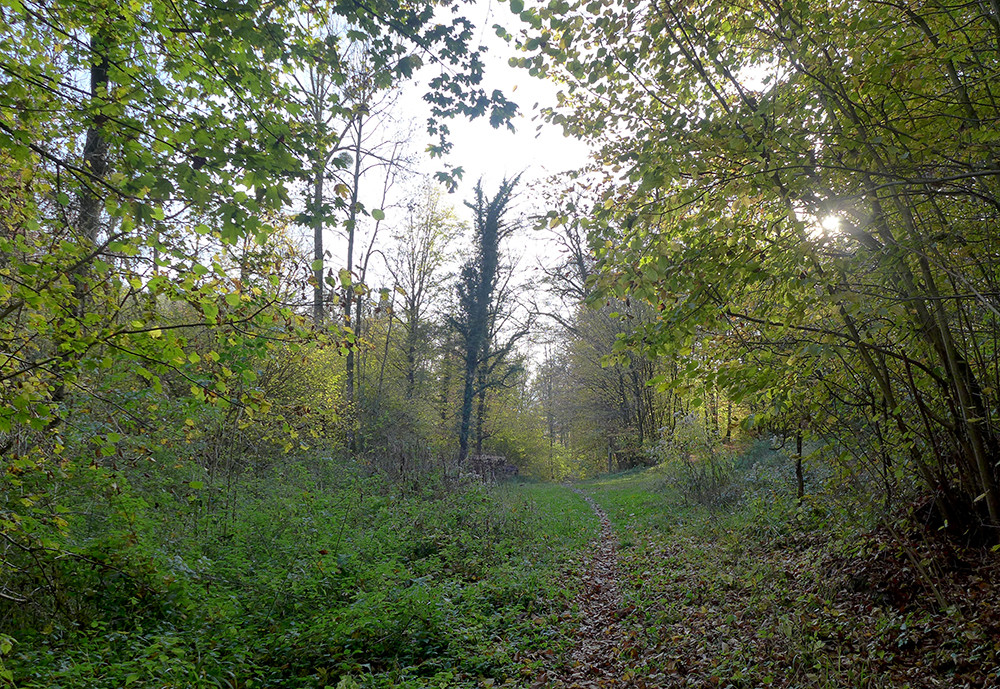 Klicke auf die Grafik für eine vergrößerte Ansicht  Name: Weserberglandweg_508.jpg Ansichten: 0 Größe: 508,0 KB ID: 3290727