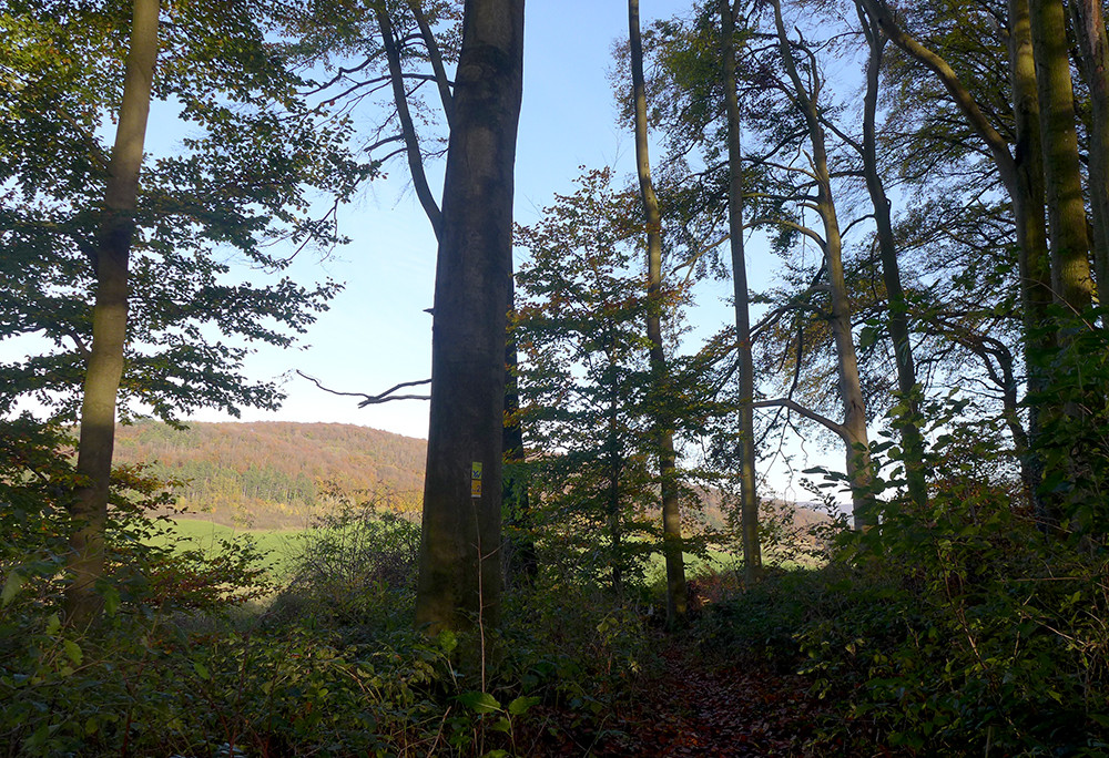 Klicke auf die Grafik für eine vergrößerte Ansicht  Name: Weserberglandweg_514.jpg Ansichten: 0 Größe: 441,2 KB ID: 3290728