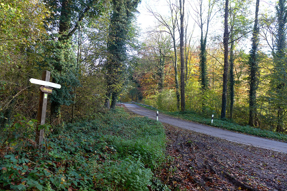 Klicke auf die Grafik für eine vergrößerte Ansicht  Name: Weserberglandweg_509.jpg Ansichten: 0 Größe: 521,1 KB ID: 3290729