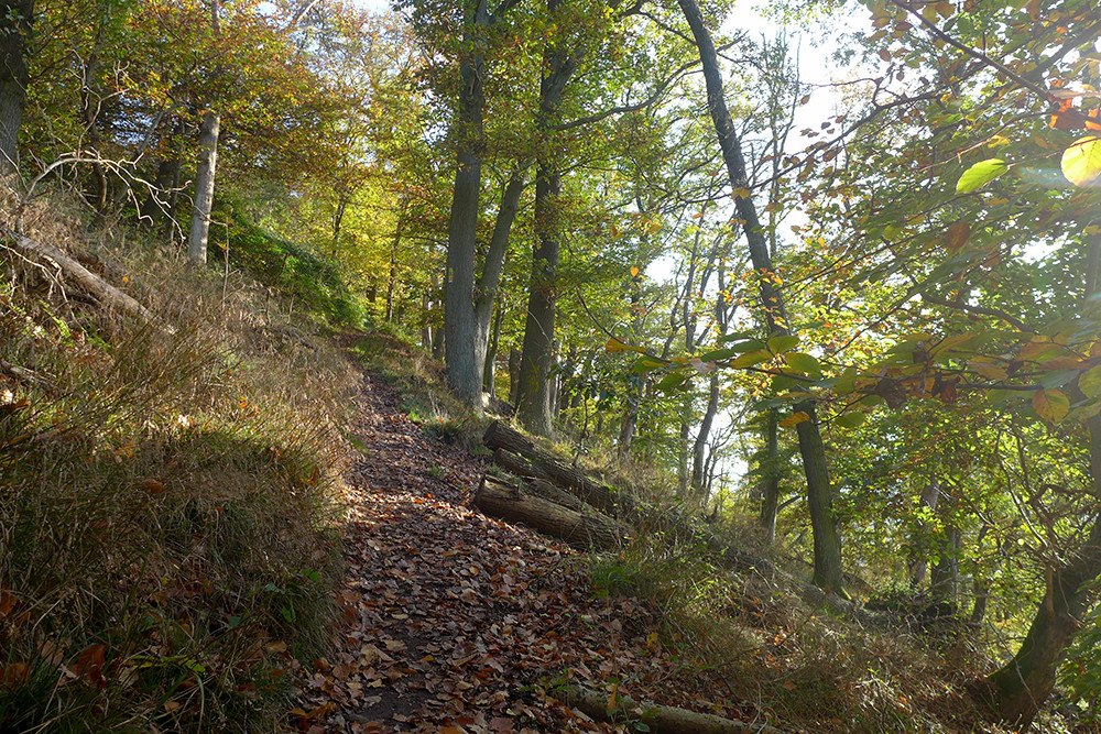 Klicke auf die Grafik für eine vergrößerte Ansicht  Name: Weserberglandweg_512.jpg Ansichten: 0 Größe: 505,6 KB ID: 3290731