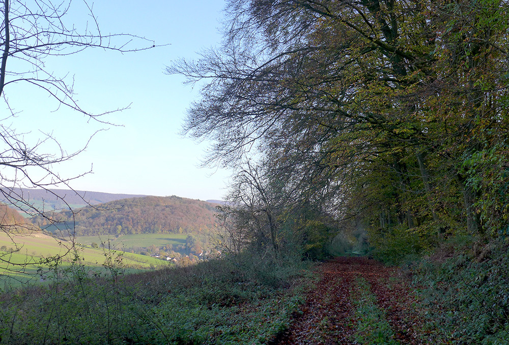 Klicke auf die Grafik für eine vergrößerte Ansicht  Name: Weserberglandweg_515.jpg Ansichten: 0 Größe: 407,4 KB ID: 3290733