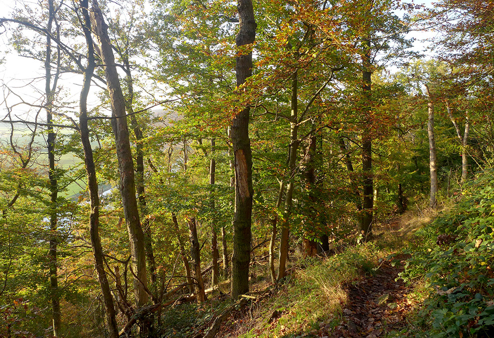 Klicke auf die Grafik für eine vergrößerte Ansicht  Name: Weserberglandweg_519.jpg Ansichten: 0 Größe: 571,4 KB ID: 3290741