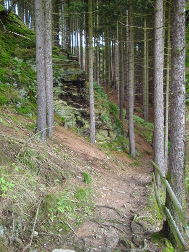 Klicke auf die Grafik für eine vergrößerte Ansicht

Name: dsc01732_1.jpg
Ansichten: 54
Größe: 109,9 KB
ID: 3291249