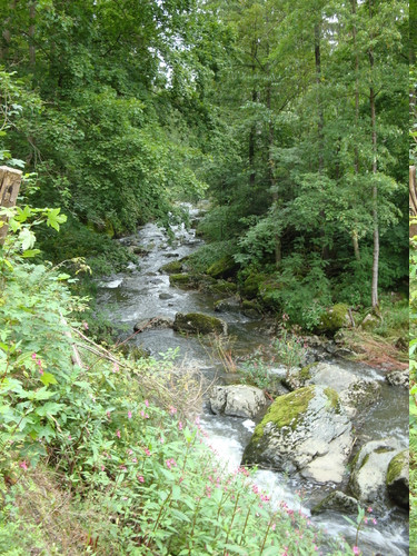 Klicke auf die Grafik für eine vergrößerte Ansicht

Name: dsc01756_1.jpg
Ansichten: 52
Größe: 119,9 KB
ID: 3291515
