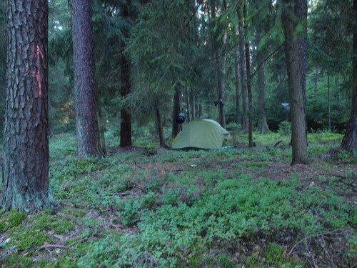 Klicke auf die Grafik für eine vergrößerte Ansicht

Name: dsc01832_1.jpg
Ansichten: 128
Größe: 92,0 KB
ID: 3291878