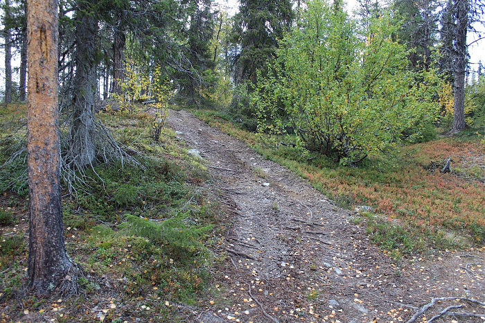 Klicke auf die Grafik für eine vergrößerte Ansicht

Name: Ljungdalen_20200909_341.jpg
Ansichten: 71
Größe: 1.009,5 KB
ID: 3292000