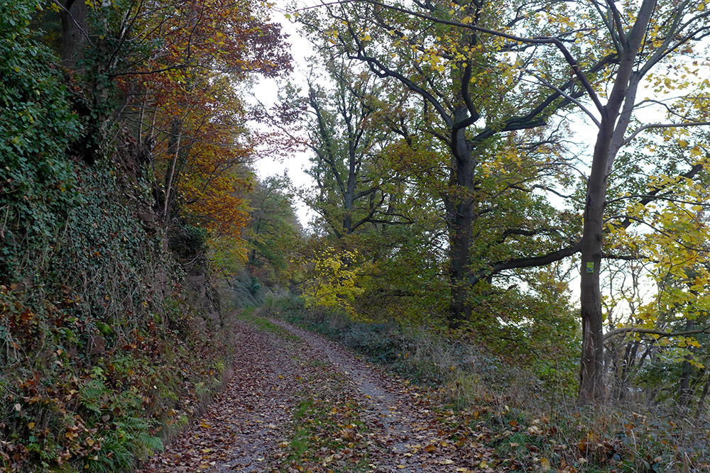 Klicke auf die Grafik für eine vergrößerte Ansicht  Name: Weserberglandweg_528.jpg Ansichten: 0 Größe: 500,8 KB ID: 3292242