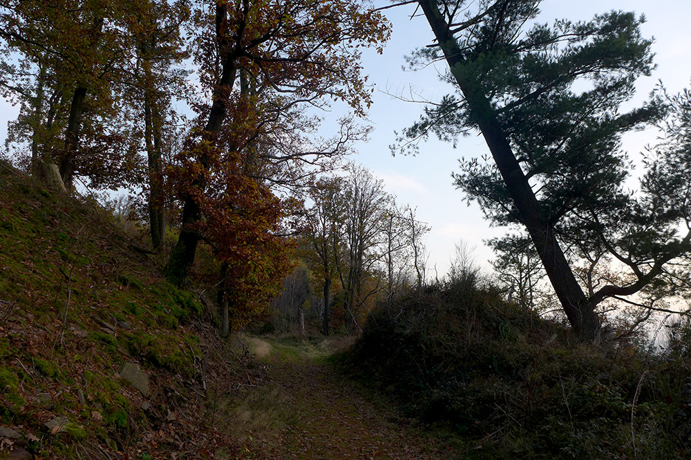 Klicke auf die Grafik für eine vergrößerte Ansicht  Name: Weserberglandweg_538.jpg Ansichten: 0 Größe: 397,8 KB ID: 3292249