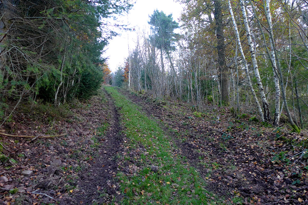 Klicke auf die Grafik für eine vergrößerte Ansicht  Name: Weserberglandweg_539.jpg Ansichten: 0 Größe: 438,5 KB ID: 3292251