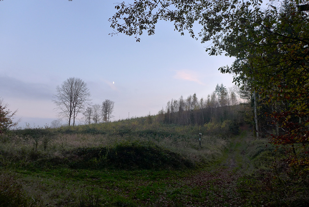 Klicke auf die Grafik für eine vergrößerte Ansicht  Name: Weserberglandweg_541.jpg Ansichten: 0 Größe: 255,1 KB ID: 3292252