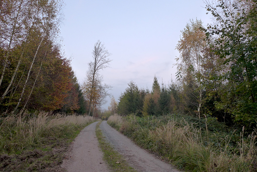 Klicke auf die Grafik für eine vergrößerte Ansicht  Name: Weserberglandweg_543.jpg Ansichten: 0 Größe: 327,6 KB ID: 3292254
