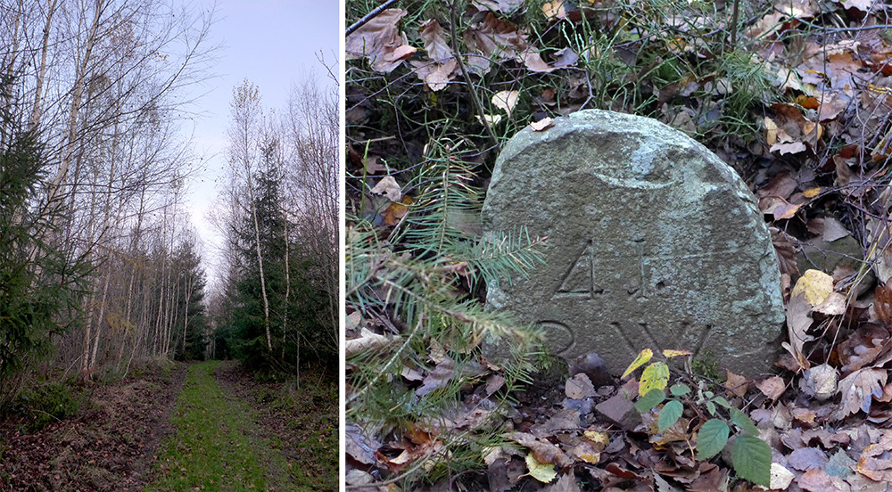 Klicke auf die Grafik für eine vergrößerte Ansicht  Name: Weserberglandweg_540.jpg Ansichten: 0 Größe: 328,5 KB ID: 3292253