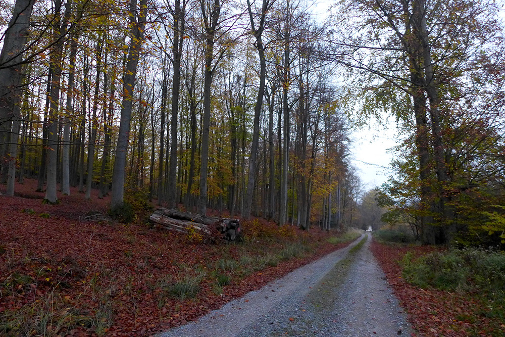 Klicke auf die Grafik für eine vergrößerte Ansicht  Name: Weserberglandweg_544.jpg Ansichten: 0 Größe: 418,2 KB ID: 3292259