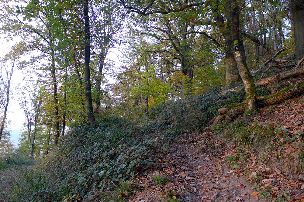 Klicke auf die Grafik für eine vergrößerte Ansicht  Name: Weserberglandweg_533.jpg Ansichten: 0 Größe: 519,8 KB ID: 3292262