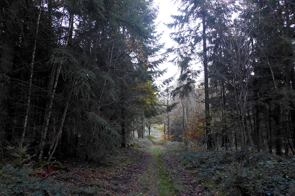Klicke auf die Grafik für eine vergrößerte Ansicht  Name: Weserberglandweg_5401A.jpg Ansichten: 0 Größe: 294,9 KB ID: 3292585