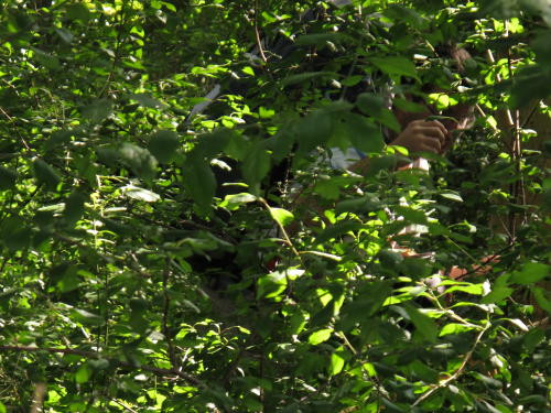 Klicke auf die Grafik für eine vergrößerte Ansicht

Name: 100904_WAI-Tour_1_.jpg
Ansichten: 115
Größe: 95,9 KB
ID: 3292957