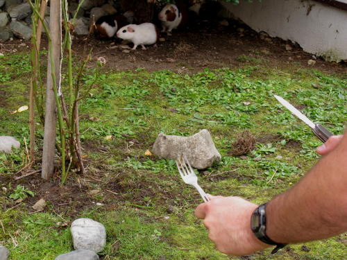 Klicke auf die Grafik für eine vergrößerte Ansicht

Name: 100904_WAI-Tour_15_.jpg
Ansichten: 110
Größe: 87,8 KB
ID: 3292961