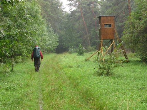Klicke auf die Grafik für eine vergrößerte Ansicht

Name: 100904_WAI-Tour_22_.jpg
Ansichten: 108
Größe: 74,7 KB
ID: 3292963