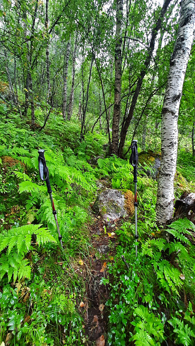 Klicke auf die Grafik für eine vergrößerte Ansicht

Name: 2022-09 Lappland, Skjomen - Storå, 010.jpg
Ansichten: 701
Größe: 1,23 MB
ID: 3293450