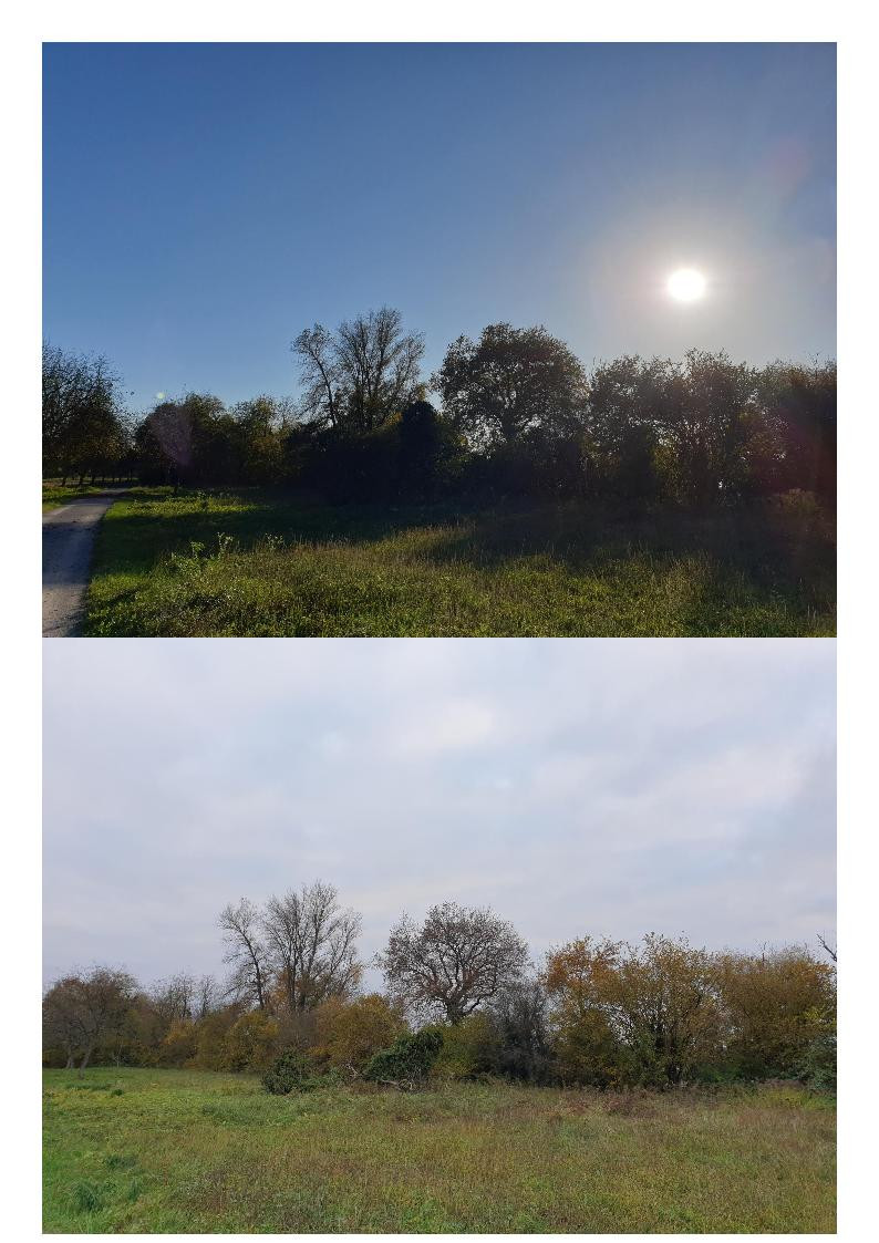 Klicke auf die Grafik für eine vergrößerte Ansicht  Name: Okt_Nov6.jpg Ansichten: 0 Größe: 190,6 KB ID: 3293618
