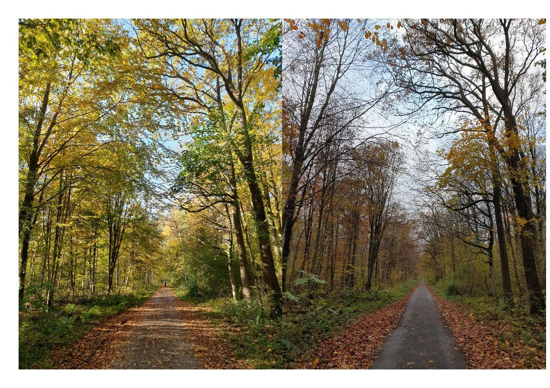 Klicke auf die Grafik für eine vergrößerte Ansicht  Name: Okt_Nov3.jpg Ansichten: 0 Größe: 540,4 KB ID: 3293628