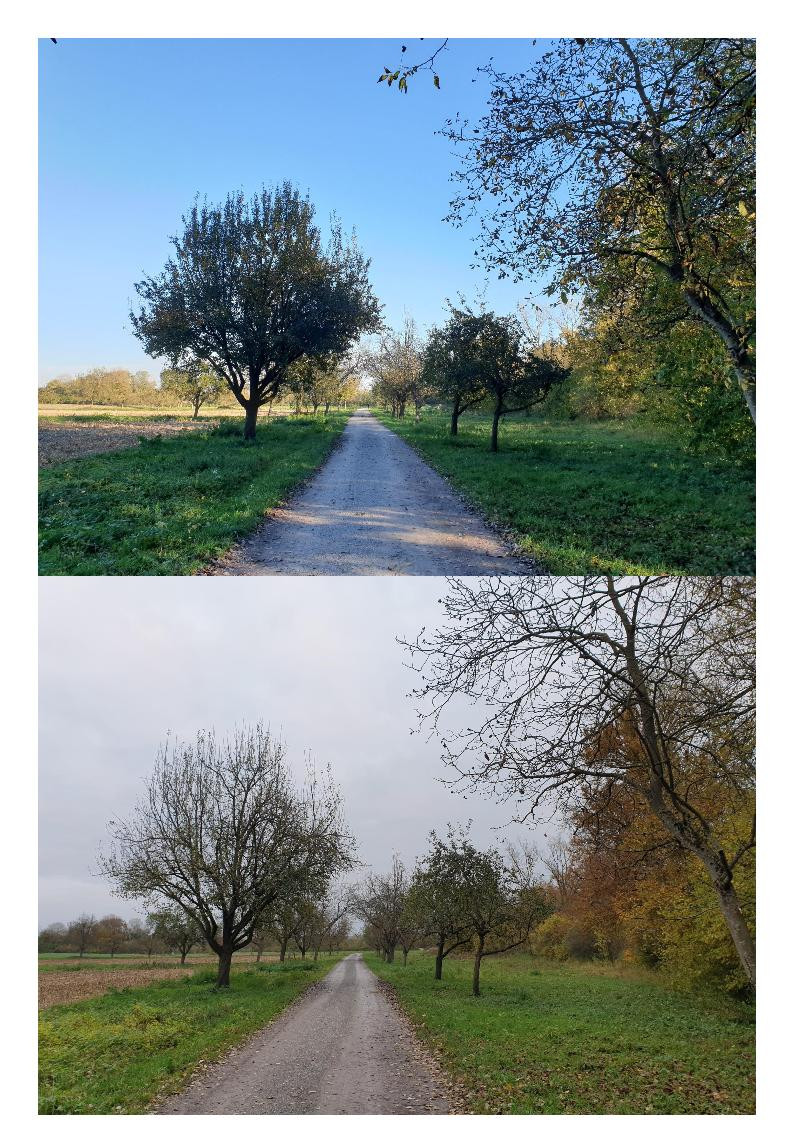 Klicke auf die Grafik für eine vergrößerte Ansicht  Name: Okt_Nov10.jpg Ansichten: 0 Größe: 349,3 KB ID: 3293624