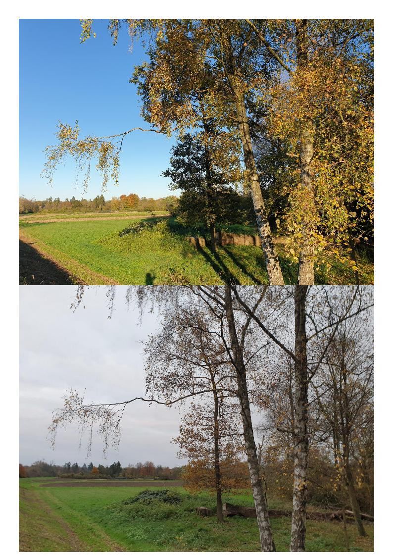 Klicke auf die Grafik für eine vergrößerte Ansicht  Name: Okt_Nov12.jpg Ansichten: 0 Größe: 406,3 KB ID: 3293626