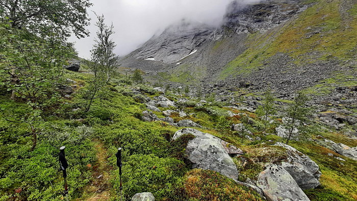 Klicke auf die Grafik für eine vergrößerte Ansicht

Name: 2022-09 Lappland, Skjomen - Storå, 016.jpg
Ansichten: 614
Größe: 1,11 MB
ID: 3293676