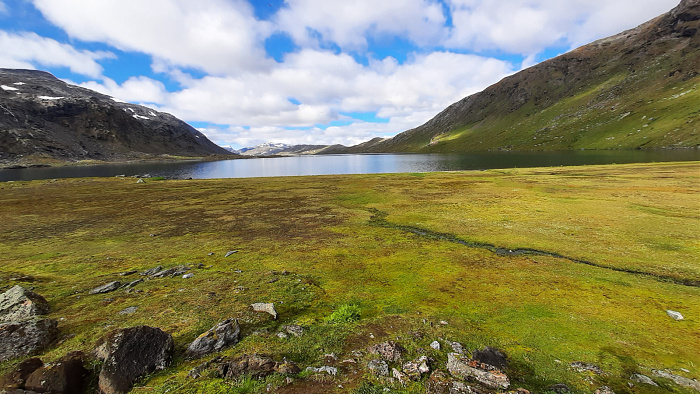 Klicke auf die Grafik für eine vergrößerte Ansicht

Name: 2022-09 Lappland, Skjomen - Storå, 044.jpg
Ansichten: 558
Größe: 790,2 KB
ID: 3294079